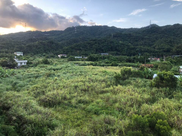 新北雙溪區500坪開心農場