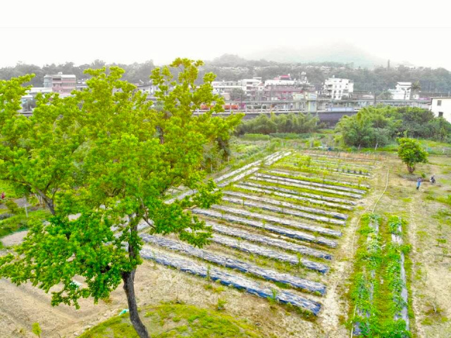 雙溪火車站旁優質農地
