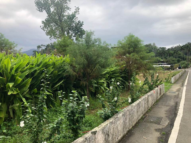 雙溪火車站旁優質農地