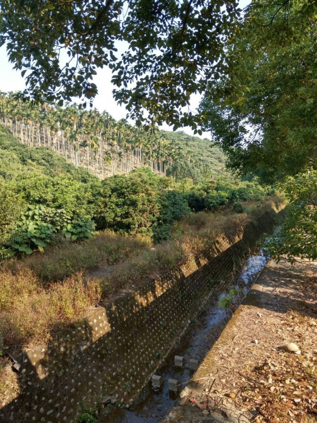 南投市.南崗工業區(工業北路)附近(景觀農地)市區地點好.出價就談