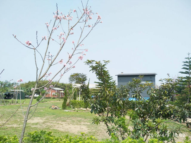 悠然居景觀休閒農地126-3(溪頭周邊稀有小坪數景觀農地)