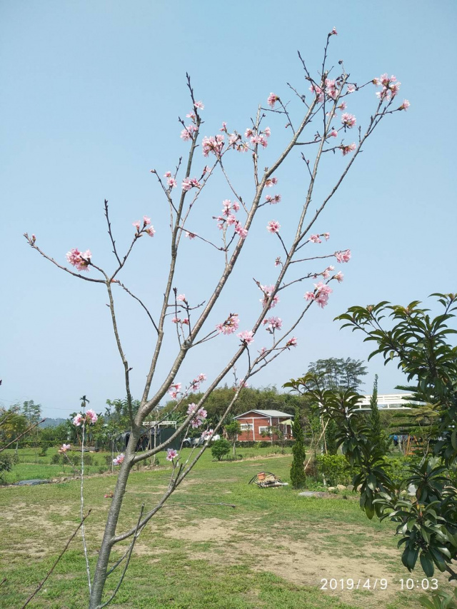 悠然居景觀休閒農地126-3(溪頭周邊稀有小坪數景觀農地)