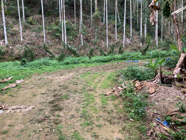 麒麟小農地