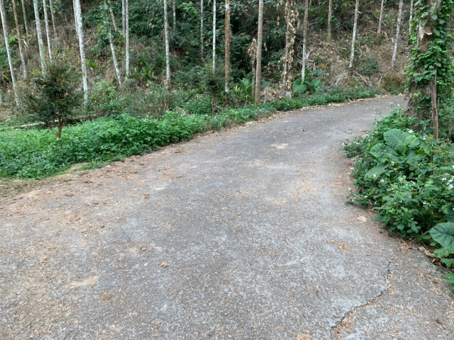 麒麟小農地