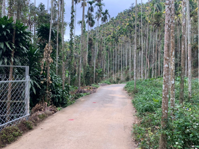 麒麟小農地