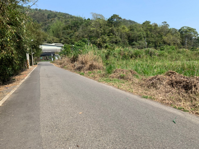 金龍山旁美地