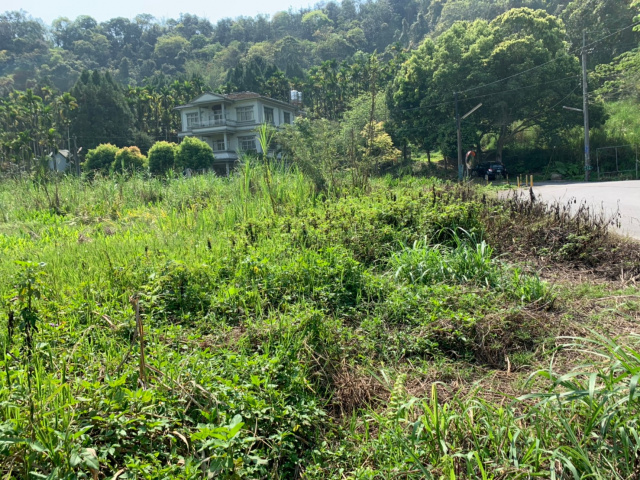 金龍山旁美地