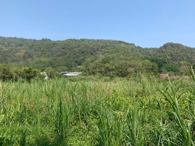 金龍山旁美地