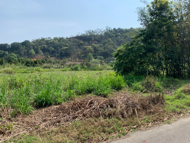 金龍山旁美地