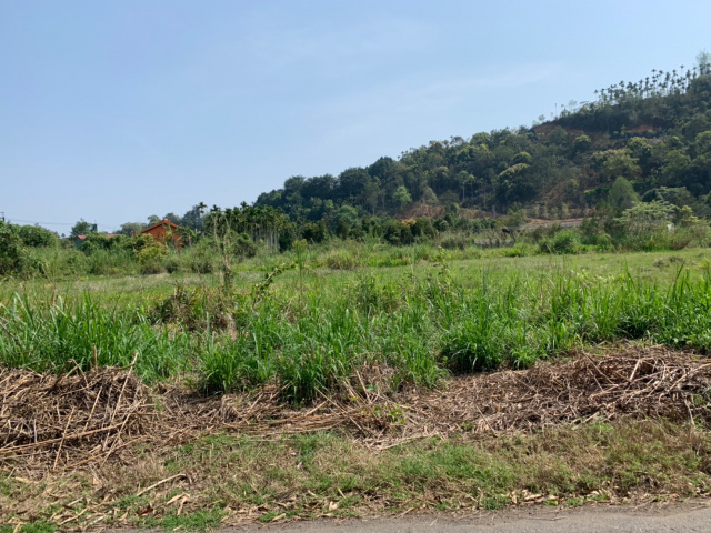 金龍山旁美地