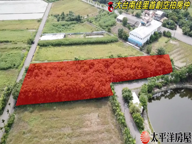 七股臨大馬路元寶湖前美農地