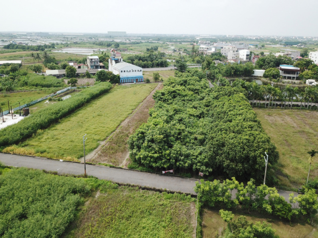七股臨大馬路元寶湖前美農地