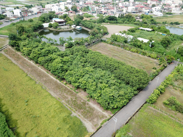 七股臨大馬路元寶湖前美農地