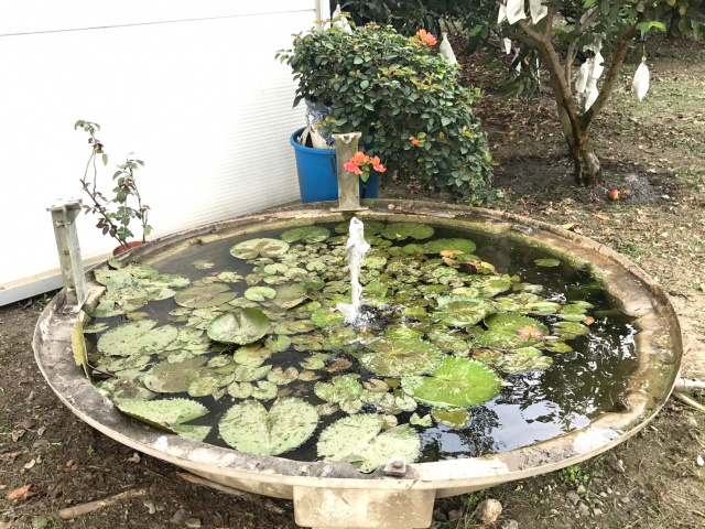 鳥語花香合法農舍農地H