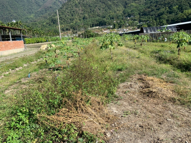 守城3分美田