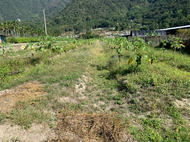 守城3分美田