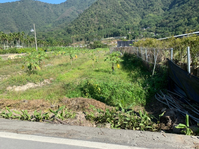 守城3分美田