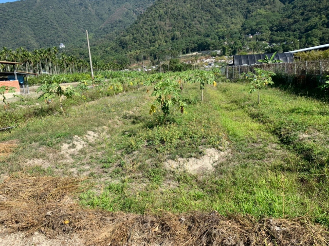 守城3分美田