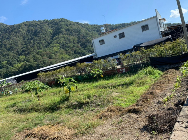 守城3分美田