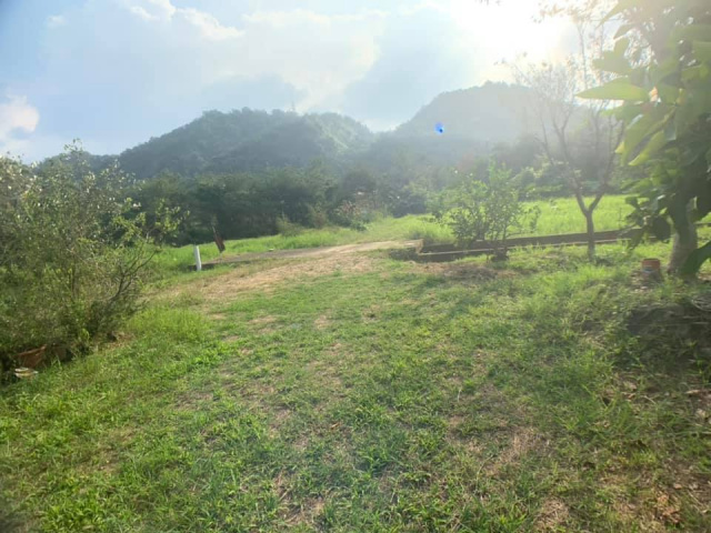 南村三分田