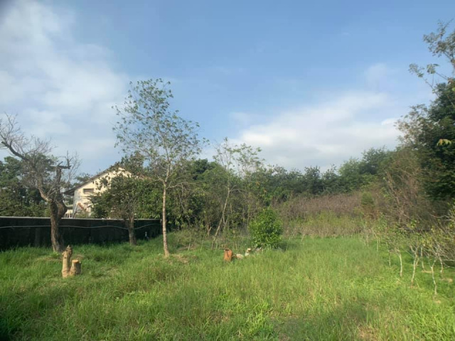 南村三分田