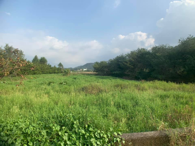 南村三分田