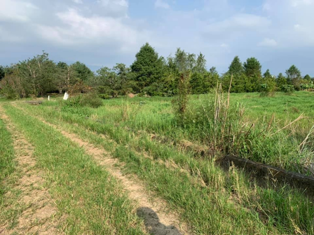 南村三分田
