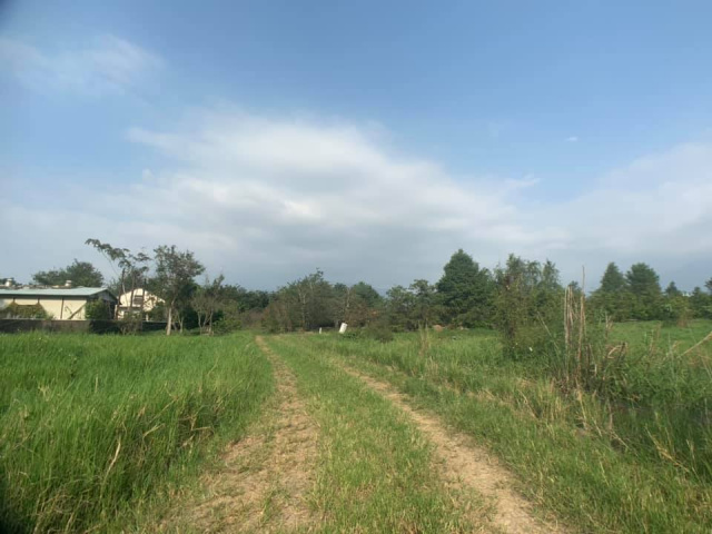 南村三分田