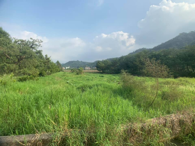 南村三分田
