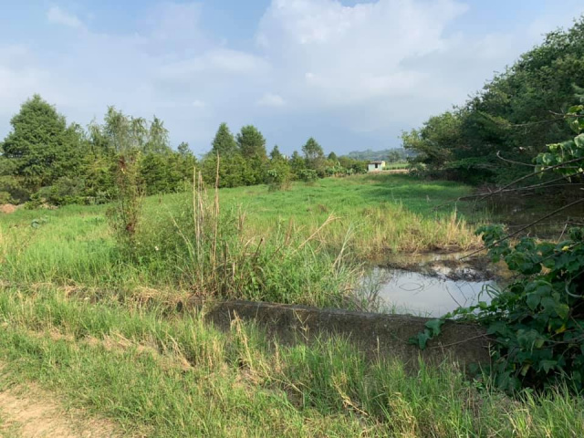 南村三分田