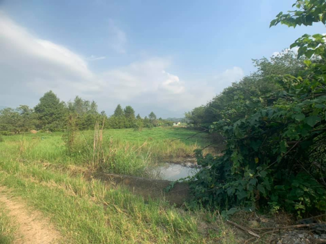 南村三分田