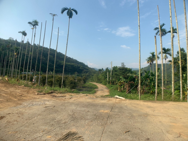 國姓北山休閒美農地