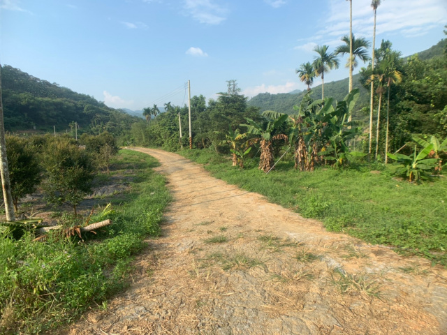 國姓北山休閒美農地