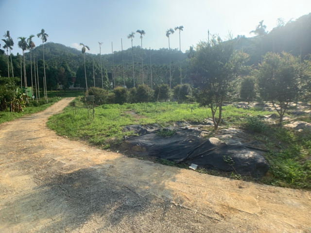 國姓北山休閒美農地