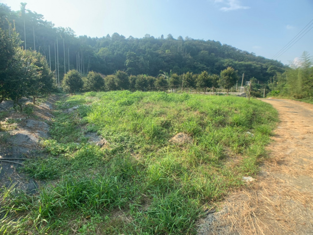 國姓北山休閒美農地