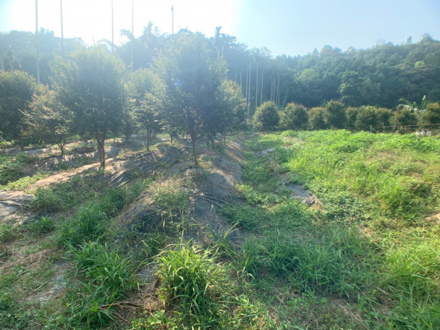 國姓北山休閒美農地