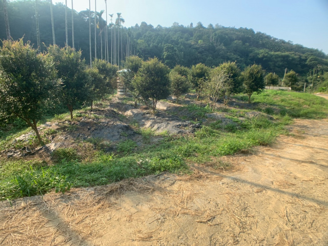 國姓北山休閒美農地