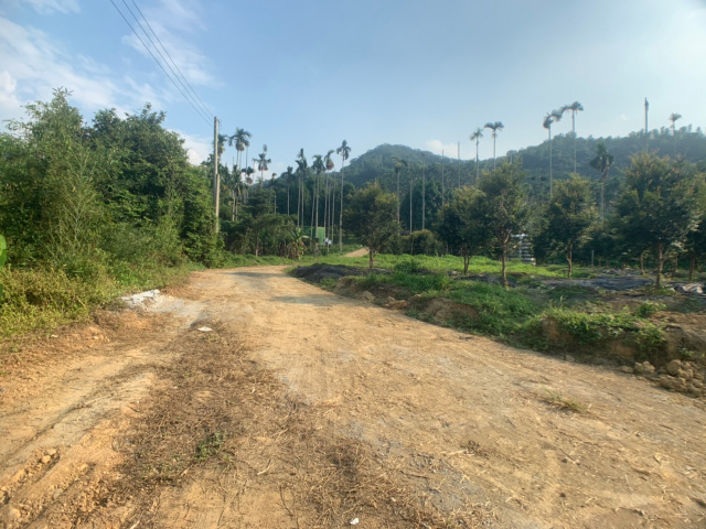 國姓北山休閒美農地