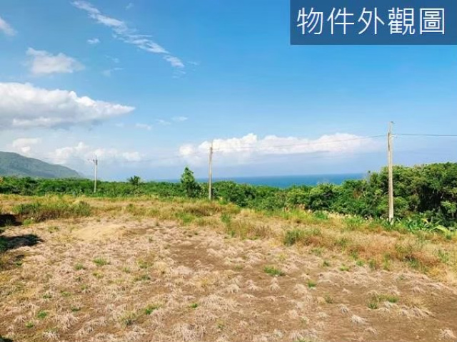長濱鄉 三間國小 海景農地