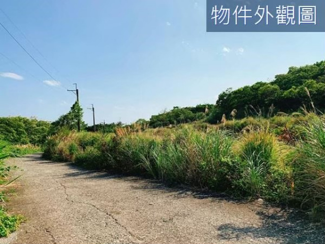長濱鄉 三間國小 海景農地