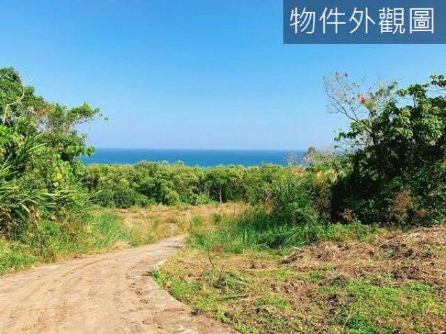 長濱鄉 三間國小 海景農地