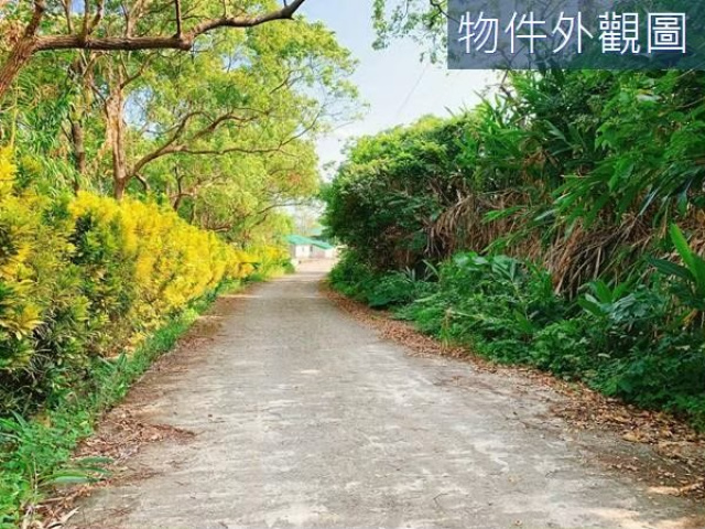 長濱鄉 三間國小 海景農地