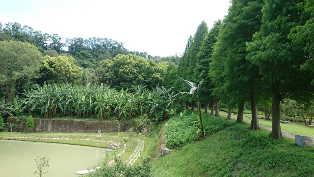 北埔六塘美田