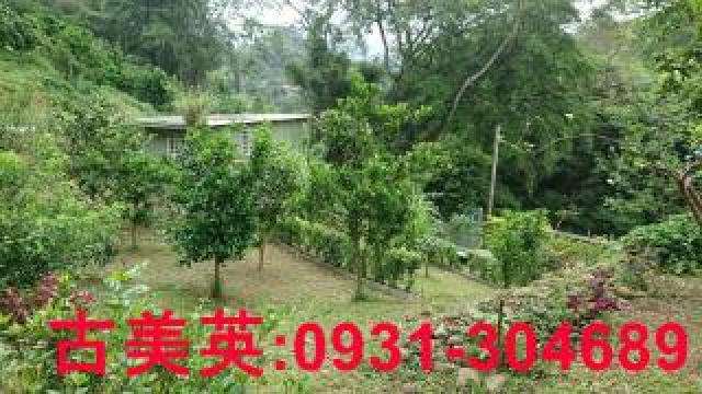 芎林合法資材室