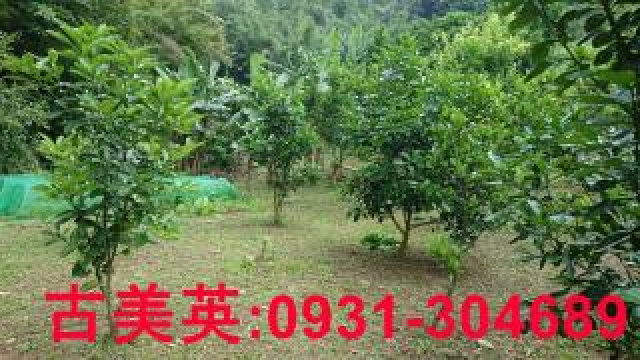 芎林合法資材室