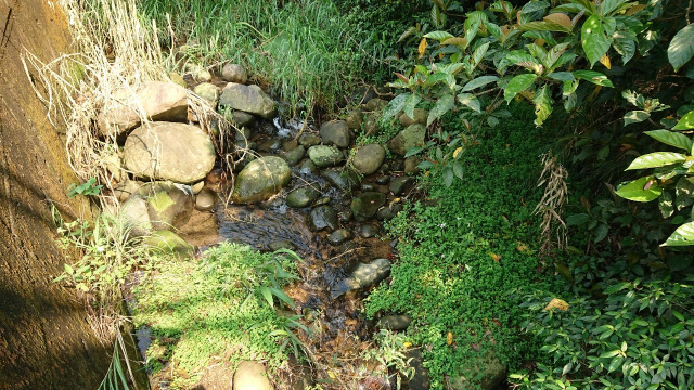 芎林鹿寮坑渡假屋休閒地