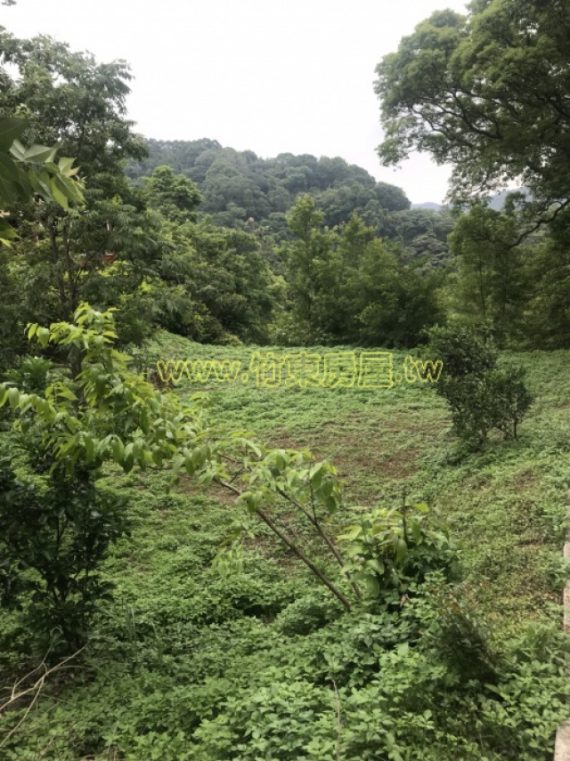 青山小築休閒地
