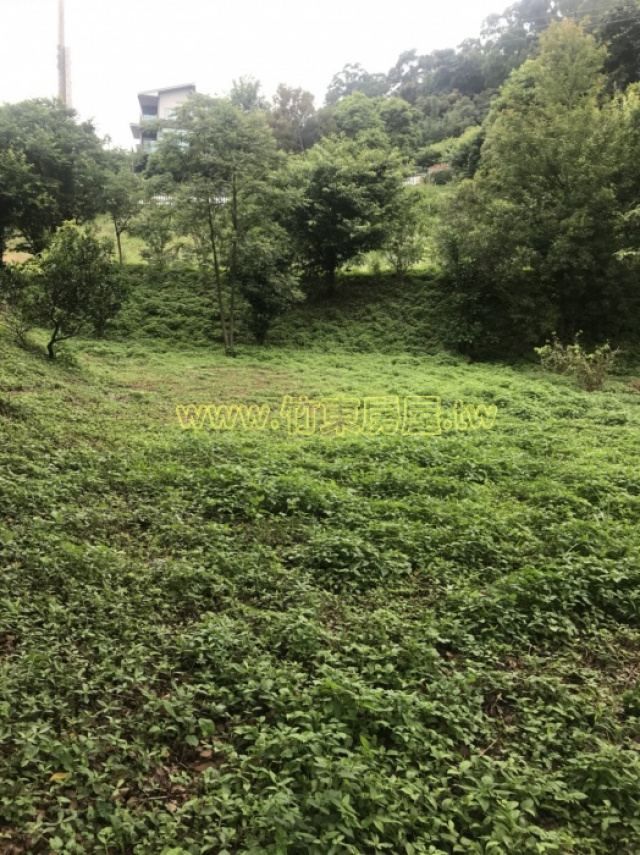 青山小築休閒地