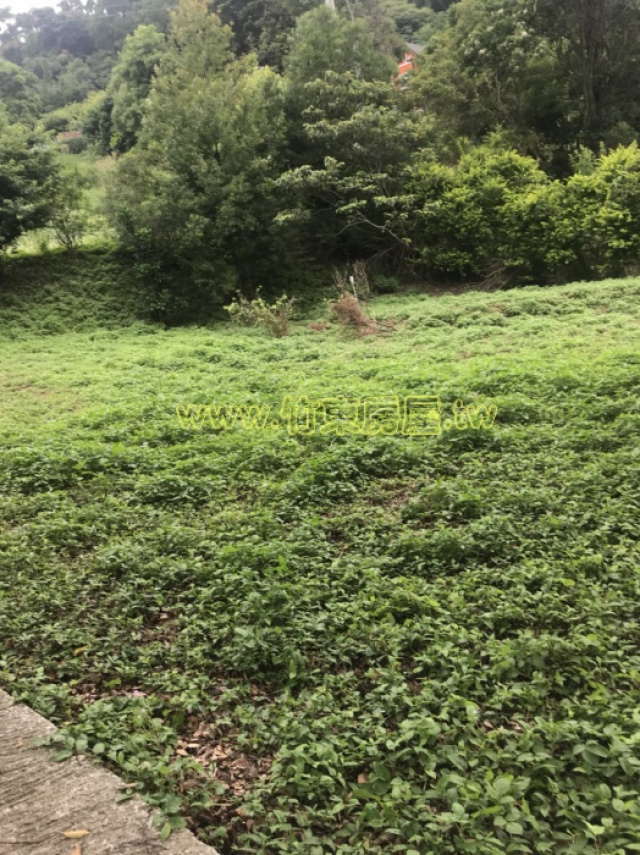 青山小築休閒地