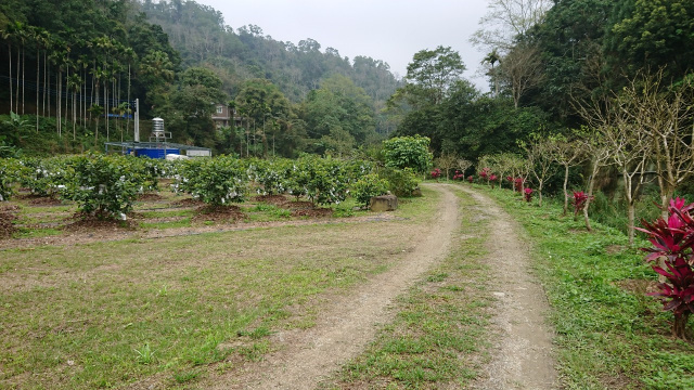 北埔冷泉臨溪露營美地